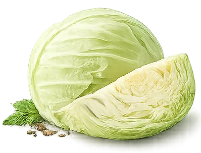 Капуста